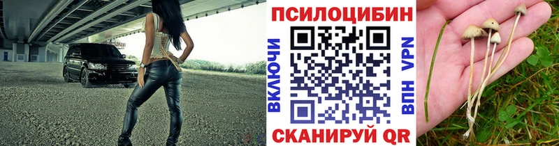 Галлюциногенные грибы Cubensis  Новый Оскол 